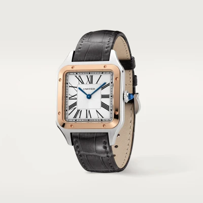 Cartier Santos-Dumont