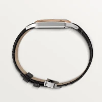 Cartier Santos-Dumont