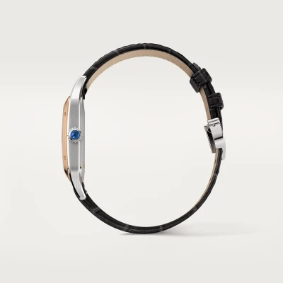 Cartier Santos-Dumont