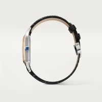Cartier Santos-Dumont