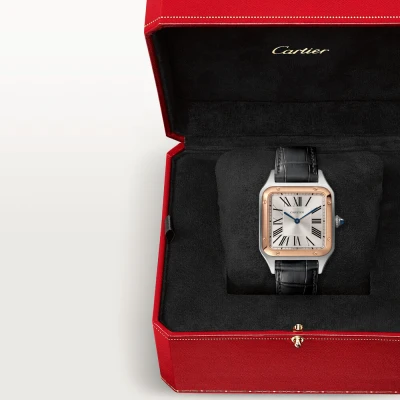 Cartier Santos-Dumont