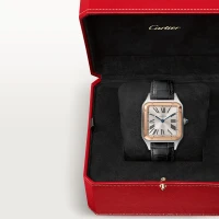 Cartier Santos-Dumont
