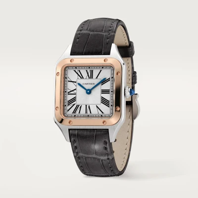 Cartier Santos-Dumont