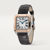 Cartier Santos-Dumont