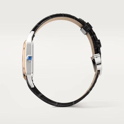 Cartier Santos-Dumont