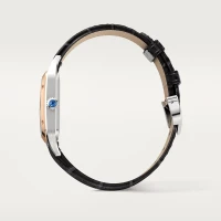Cartier Santos-Dumont