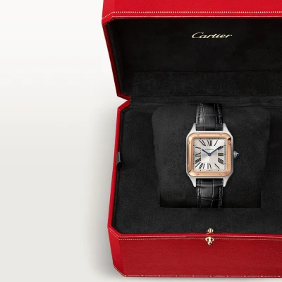 Cartier Santos-Dumont
