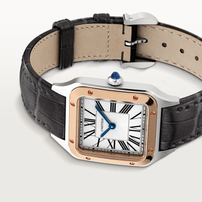 Cartier Santos-Dumont
