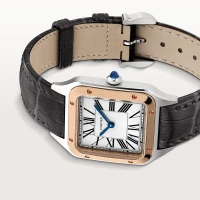 Cartier Santos-Dumont