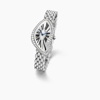 Cartier Crash Cartier Crash