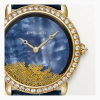 Cartier Révélation d'une Panthère Cartier Révélation d'une Panthère