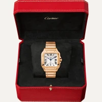 Cartier Santos de Cartier Cartier Santos de Cartier