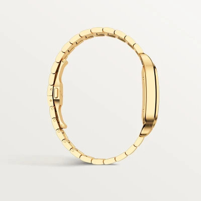 Cartier Santos de Cartier Cartier Santos de Cartier