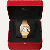 Cartier Santos de Cartier Cartier Santos de Cartier