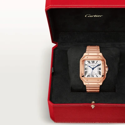 Cartier Santos de Cartier Cartier Santos de Cartier