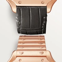 Cartier Santos de Cartier Cartier Santos de Cartier