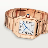 Cartier Santos de Cartier Cartier Santos de Cartier