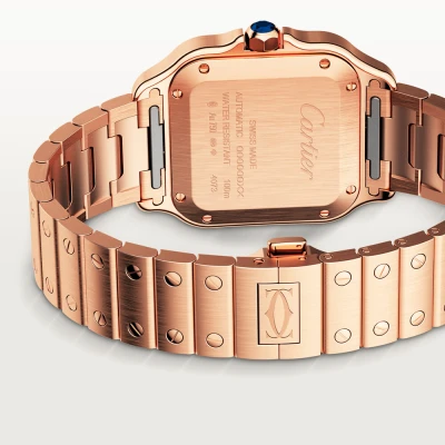 Cartier Santos de Cartier Cartier Santos de Cartier