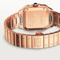 Cartier Santos de Cartier Cartier Santos de Cartier