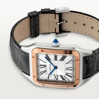 Cartier Santos-Dumont Cartier Santos-Dumont
