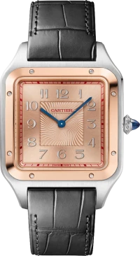 Cartier Santos-Dumont Cartier Santos-Dumont