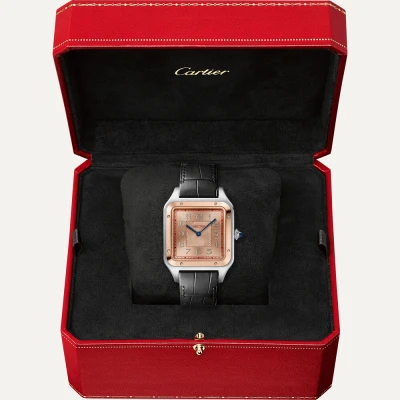 Cartier Santos-Dumont Cartier Santos-Dumont