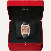 Cartier Santos-Dumont Cartier Santos-Dumont