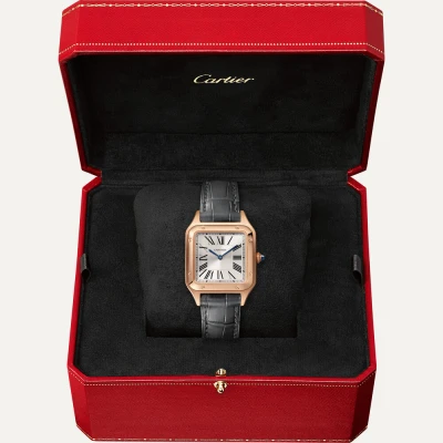 Cartier Santos-Dumont