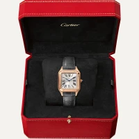 Cartier Santos-Dumont