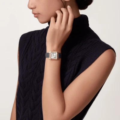 Cartier Santos-Dumont