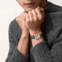 Cartier Santos-Dumont