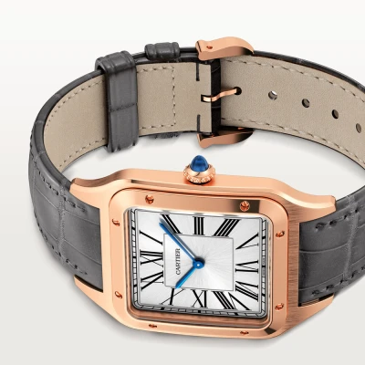 Cartier Santos-Dumont Cartier Santos-Dumont