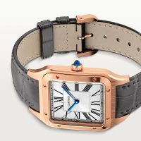 Cartier Santos-Dumont Cartier Santos-Dumont