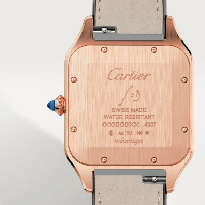 Cartier Santos-Dumont Cartier Santos-Dumont