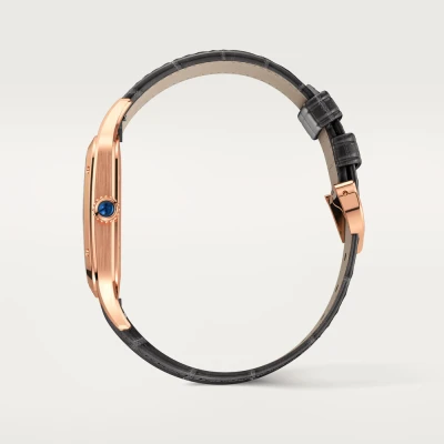 Cartier Santos-Dumont Cartier Santos-Dumont