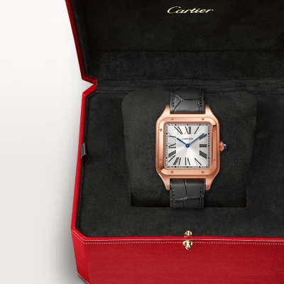 Cartier Santos-Dumont Cartier Santos-Dumont