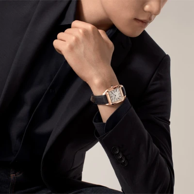 Cartier Santos-Dumont Cartier Santos-Dumont