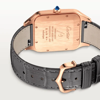 Cartier Santos-Dumont Cartier Santos-Dumont