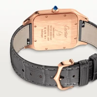 Cartier Santos-Dumont Cartier Santos-Dumont