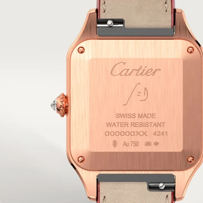 Cartier Santos-Dumont Cartier Santos-Dumont