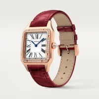 Cartier Santos-Dumont Cartier Santos-Dumont