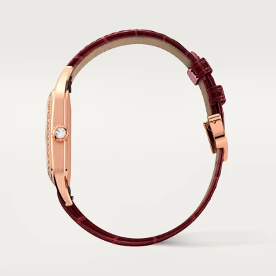 Cartier Santos-Dumont Cartier Santos-Dumont