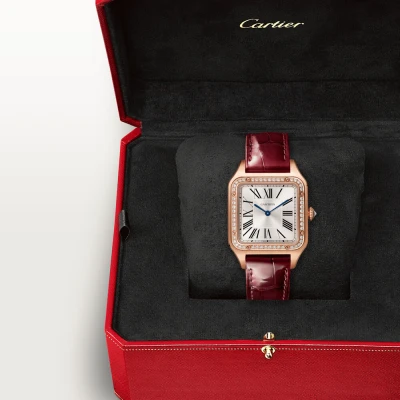 Cartier Santos-Dumont Cartier Santos-Dumont