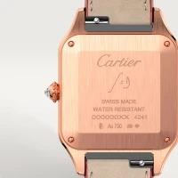 Cartier Santos-Dumont Cartier Santos-Dumont