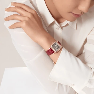 Cartier Santos-Dumont Cartier Santos-Dumont