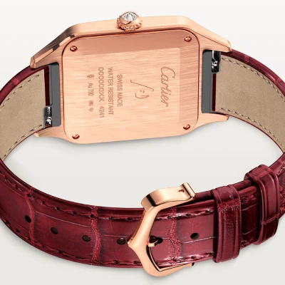 Cartier Santos-Dumont Cartier Santos-Dumont