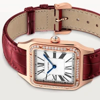 Cartier Santos-Dumont Cartier Santos-Dumont