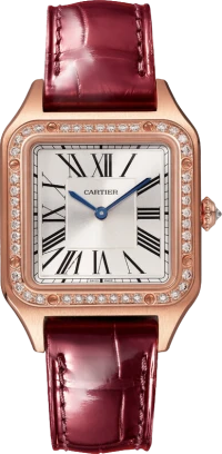 Cartier Santos-Dumont Cartier Santos-Dumont