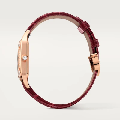 Cartier Santos-Dumont Cartier Santos-Dumont