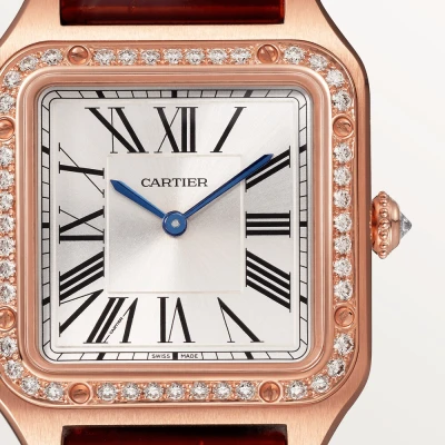Cartier Santos-Dumont Cartier Santos-Dumont